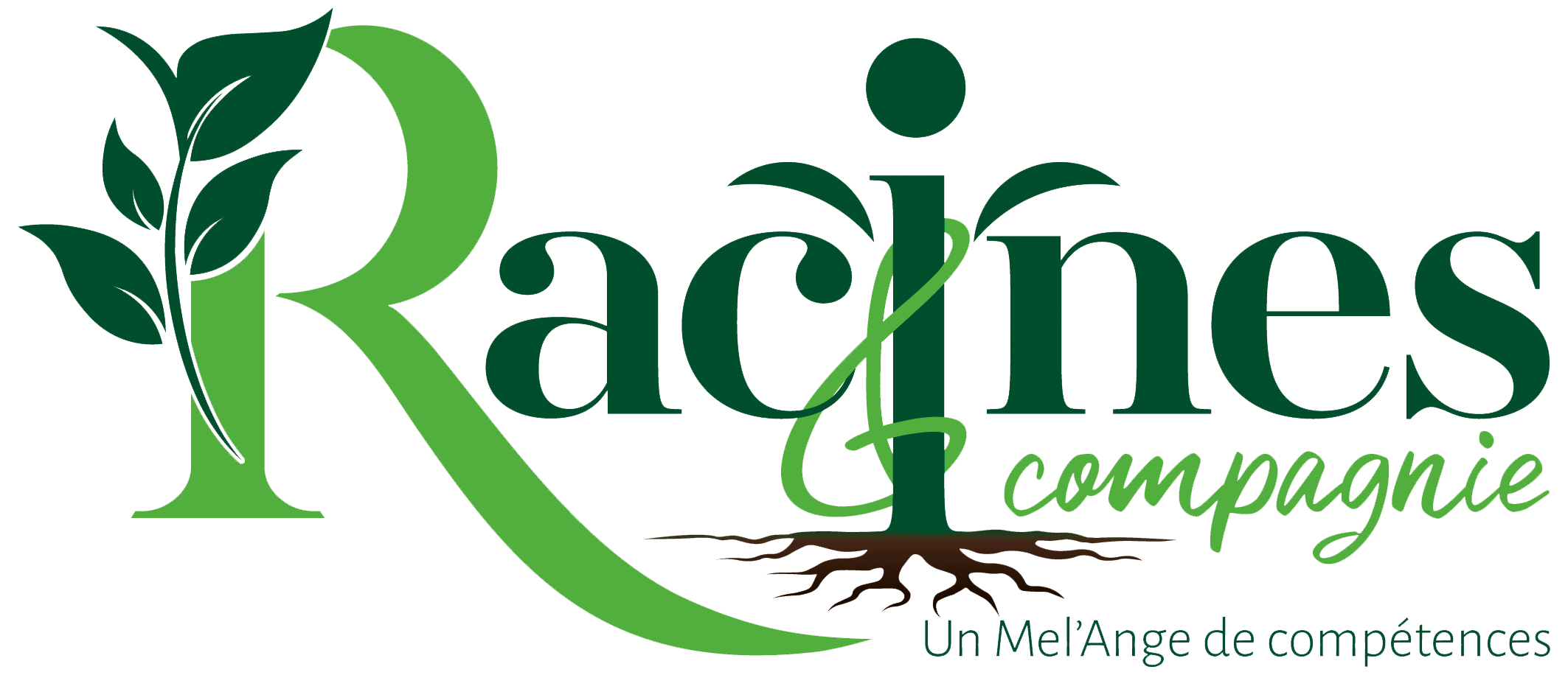 Accueil